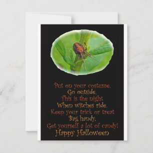 Brown Orange Araneus Halloween Party Invitation