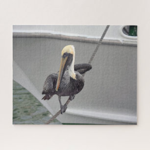 Brown Pelican Balancing on a Rope, Florida Puzzle Legpuzzel