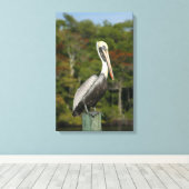 Brown Pelican Canvas Afdruk (Insitu (Houten vloer))