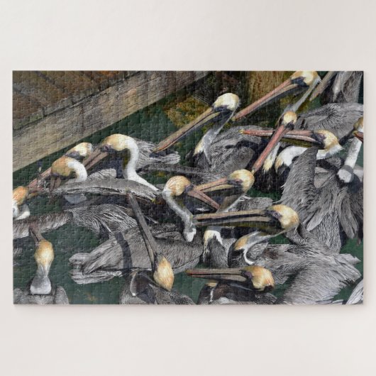 Brown Pelican Crowd, Florida Legpuzzel (Horizontaal)