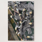 Brown Pelican Crowd, Florida Legpuzzel (Verticaal)