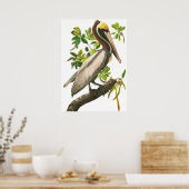Brown Pelican door John James Audubon Poster (Keuken)