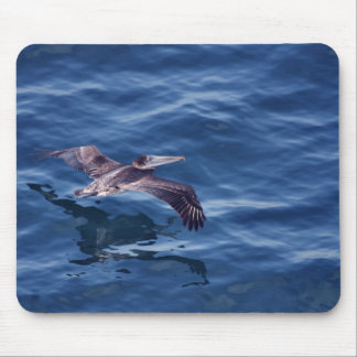 Brown Pelican Mousepad Muismat