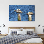 Brown Pelican Pair die op poten staat Canvas Afdruk (Insitu (Slaapkamer))
