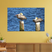 Brown Pelican Pair die op poten staat Canvas Afdruk (Insitu (Woonkamer))