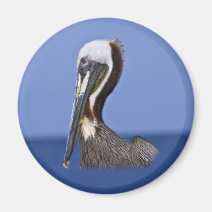 Brown Pelican Portrait Magnet Magneet