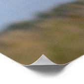 Brown Pelican Puzzle Poster (Hoek)