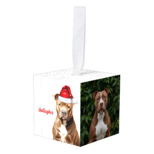 Brown Pit Bull Dog Twee foto kerstvakantie Kubus Ornament