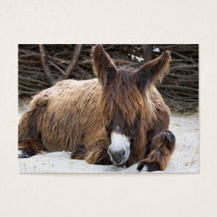 Brown Poitou Donkey