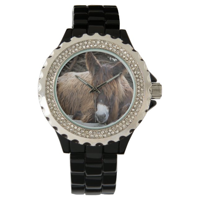 Brown Poitou Donkey Horloge (Voorkant)