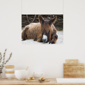 Brown Poitou Donkey Poster (Keuken)