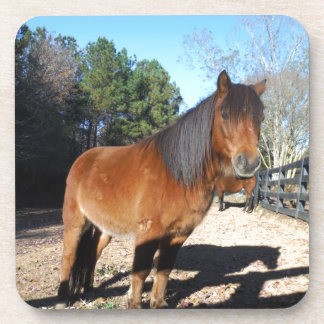 Brown pony turquoise Sky Bier Onderzetter