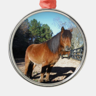 Brown pony turquoise Sky Metalen Ornament