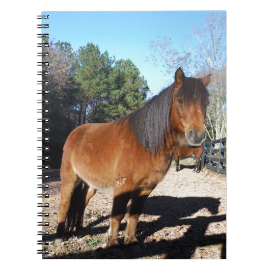 Brown pony turquoise Sky Notitieboek (Voorkant)