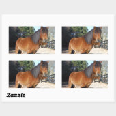 Brown pony turquoise Sky Rechthoekige Sticker (Vel)