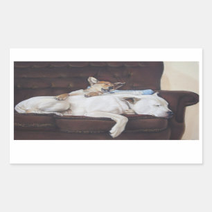 brown puppy white american bulldog realist art rechthoekige sticker