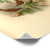 Brown Rufous Backed Greywent Bird Print (Hoek)