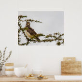 Brown Snake Eagle – Sentinel van de Savanne Poster (Keuken)