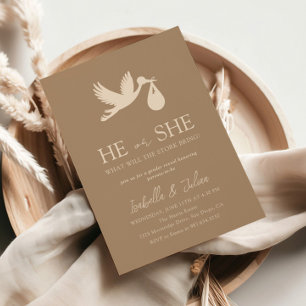 Brown Stork Baby Delivery Hij of zij Gender Reveal Kaart
