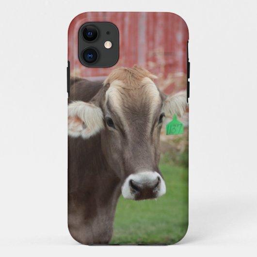 Brown Swiss Cow IPhone Case (Achterkant)