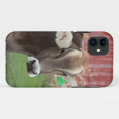 Brown Swiss Cow IPhone Case (Achterkant (horizontaal))