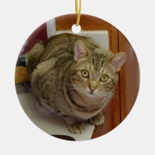 Brown Tabby Cat kerstversiering Keramisch Ornament (Voorkant)