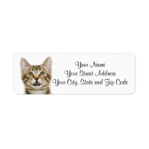 Brown Tabby Kitten Etiket