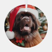 Brown Terre-Neuve Chien Santa Hat Ornement (Verso)