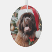 Brown Terre-Neuve Chien Santa Hat Ornement (Avant droite)