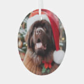 Brown Terre-Neuve Chien Santa Hat Ornement (Avant gauche)