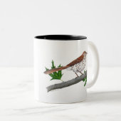 Brown Thrasher Inspiration Mug (Devant droit)