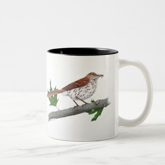 Brown Thrasher Inspiration Mug (Droit)