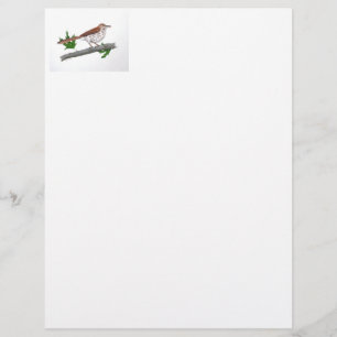 Brown Thrasher Stationery Briefhoofd