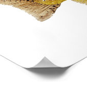 Brown Trout Art Poster (Hoek)