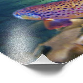 "BROWN TROUT" FOTO AFDRUK (Hoek)