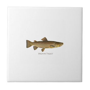 Brown Trout Logo Tegeltje