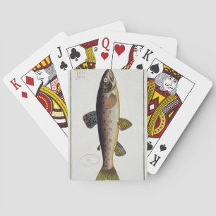 Brown Trout (Salmo Iasustris) plate XXIII from 'Ic Pokerkaarten