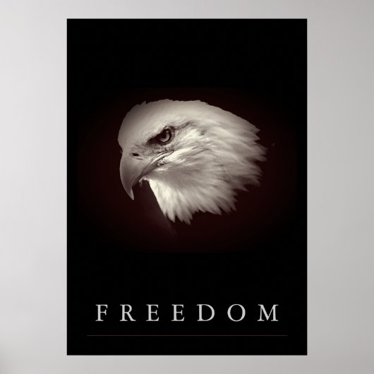 Brownish Freedom American Eagle Face Patriotic Poster (Voorkant)