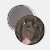 BrownNewf Magneet (Voorkant / Achterkant)