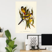 Brown's Paraket van Elizabeth Gould Poster (Thuiskantoor)