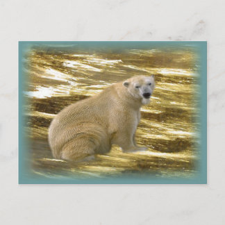 Brr.....Briefkaart Briefkaart