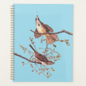 Bruant de chanson Audubon avec araignée minuscule (Devant)