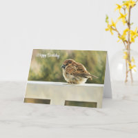 Bruant sur le rail - Carte d'anniversaire