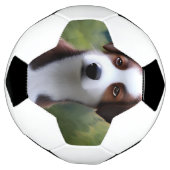 Bruce The Border Collie Puppy, Soccerball (Tourné)