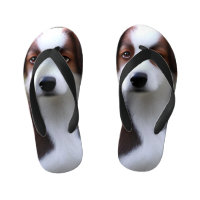 Bruce The Border Collie Puppy, Teenslippers