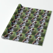 Bruce the Border Collie Puppy, Wrapping Paper Cadeaupapier (Uitgerold)