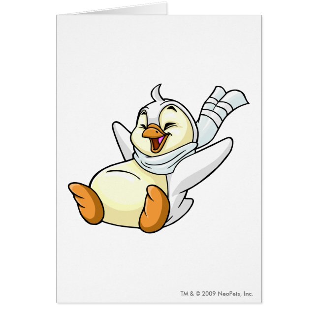 Bruce White (Voorkant)