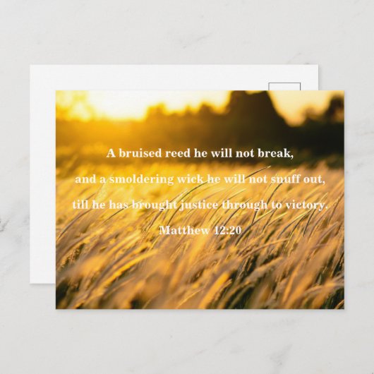 Brued Reed Bijbel Verse Briefkaart (Voorkant / Achterkant)