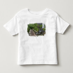 Brug bij Latourell Falls, Columbia River Gorge, Kinder Shirts