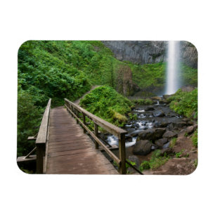 Brug bij Latourell Falls, Columbia River Gorge, Magneet